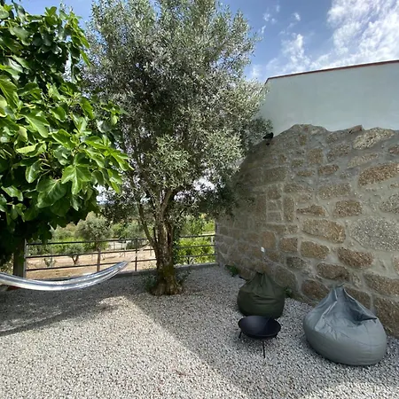 Casa De Pedra Em Vinha No Dao 넬라스