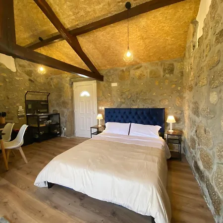 Casa De Pedra Em Vinha No Dao Nelas