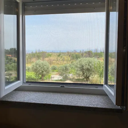 Casa De Pedra Em Vinha No Dao * 넬라스