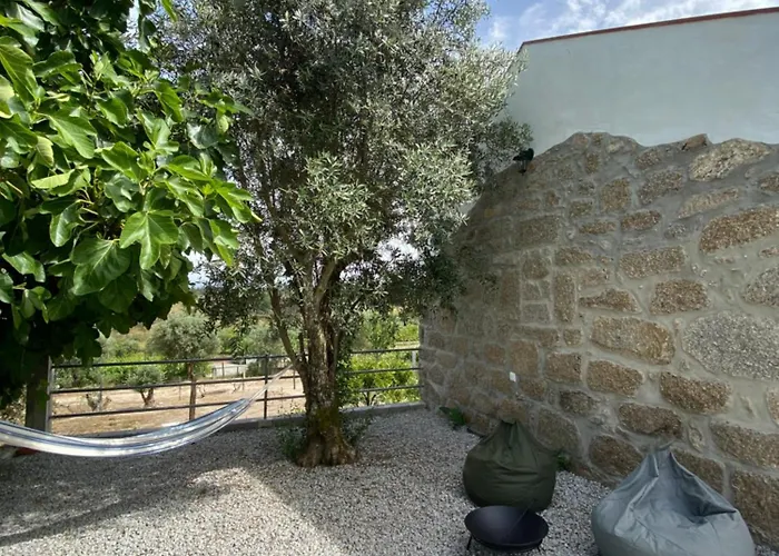 Casa De Pedra Em Vinha No Dao Nelas