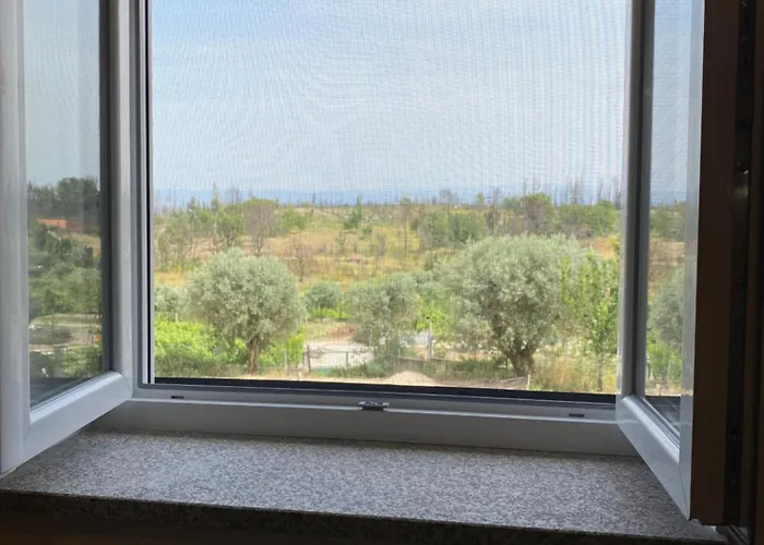 Casa De Pedra Em Vinha No Dao * Nelas